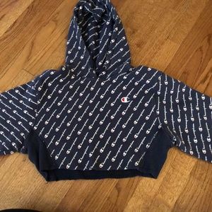 Champion Cropped Hoodie